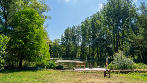 DSC05307_See