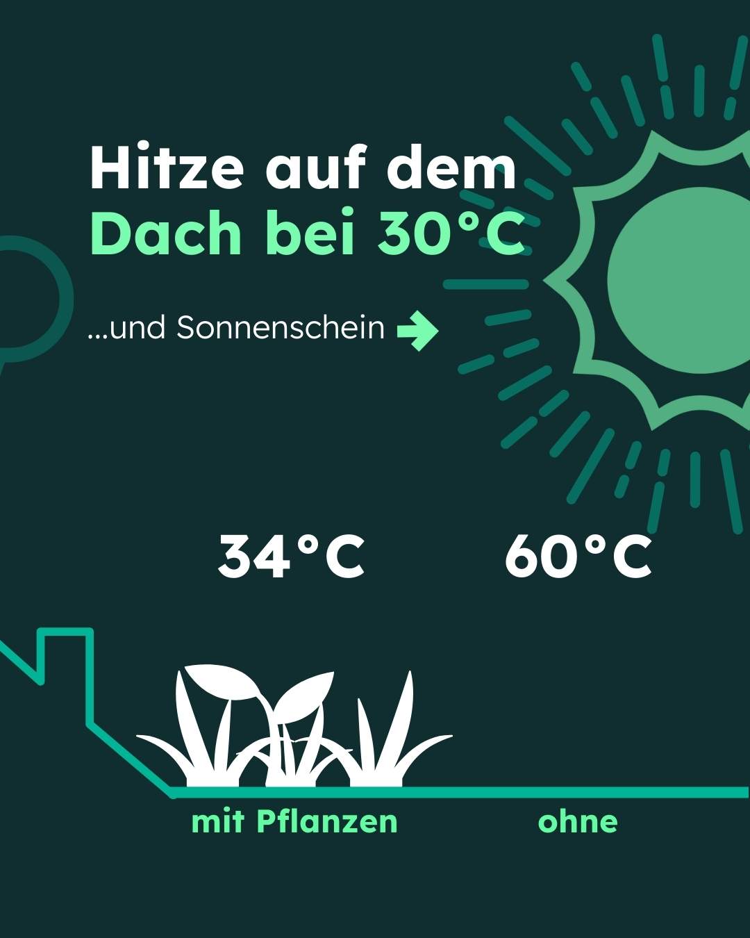 Dachdeckerin Niel_Carousel variabel (3)