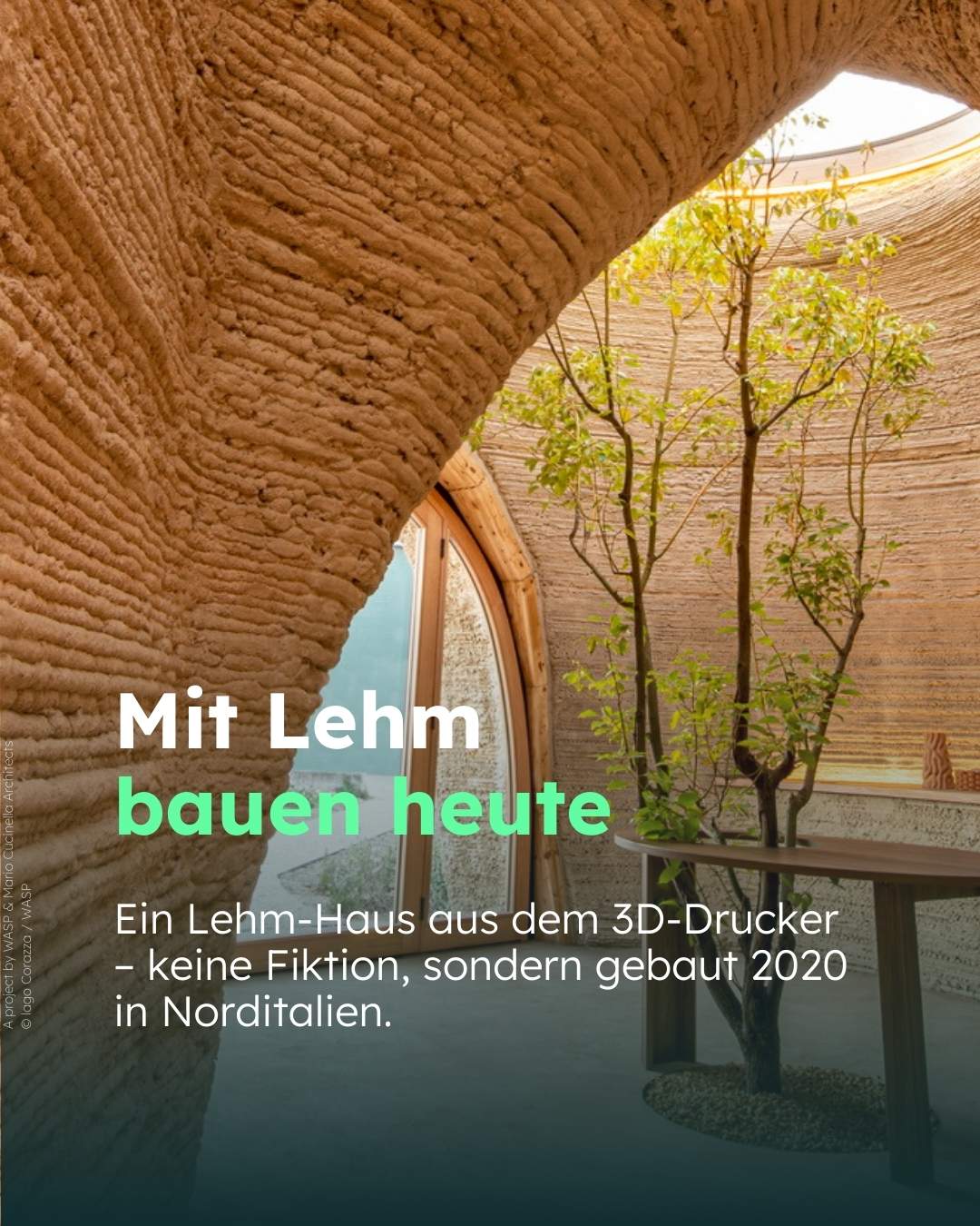 SharePics_Lehm_heute_klein