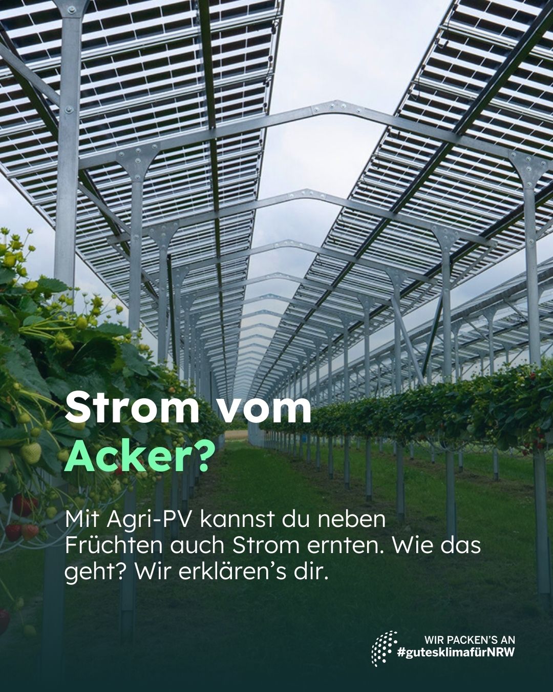 Sharepic 1_sonnenergie-bauernhof.Carousel 1