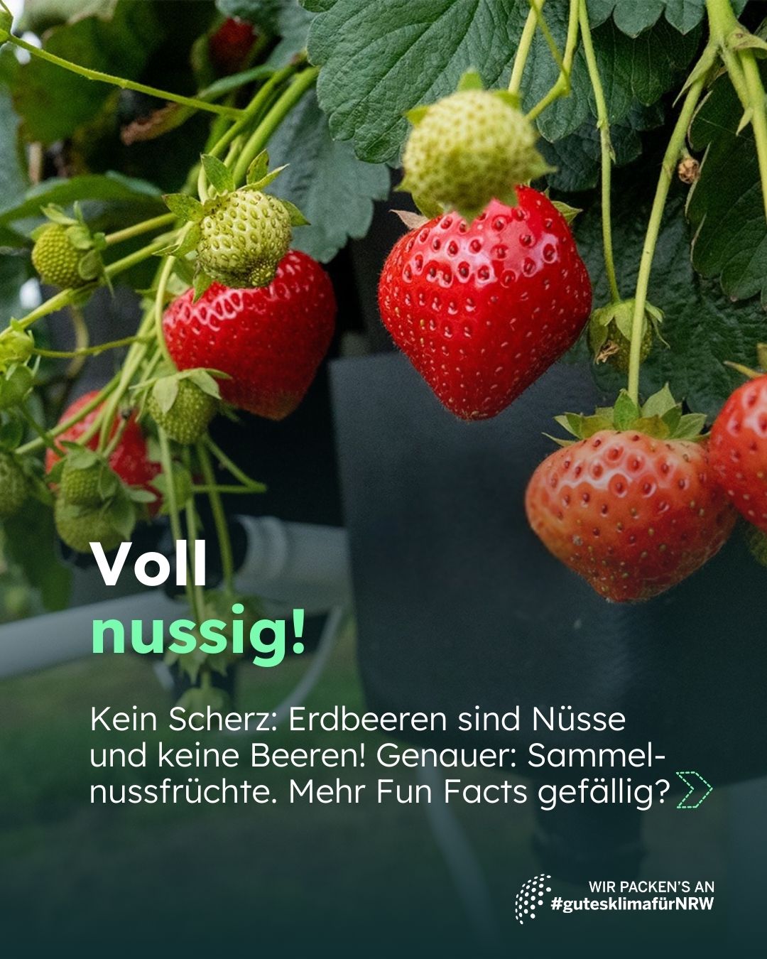 Sharepic 1_sonnenergie-bauernhof_Carousel 2