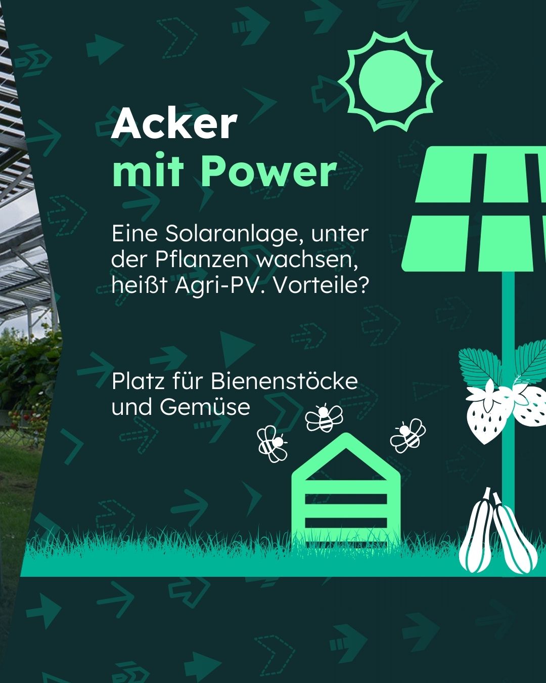 Sharepic 2_sonnenergie-bauernhof.Carousel 1