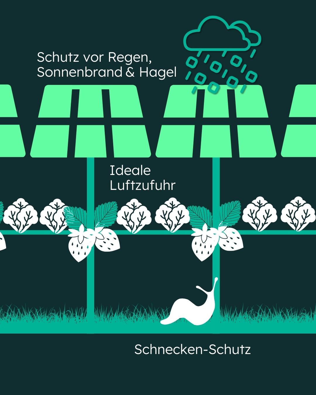 Sharepic 3_sonnenergie-bauernhof.Carousel 1