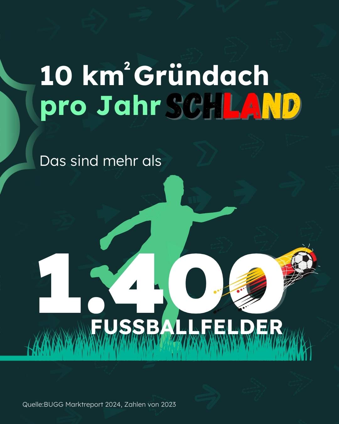 Story_Niel_Carousel 4