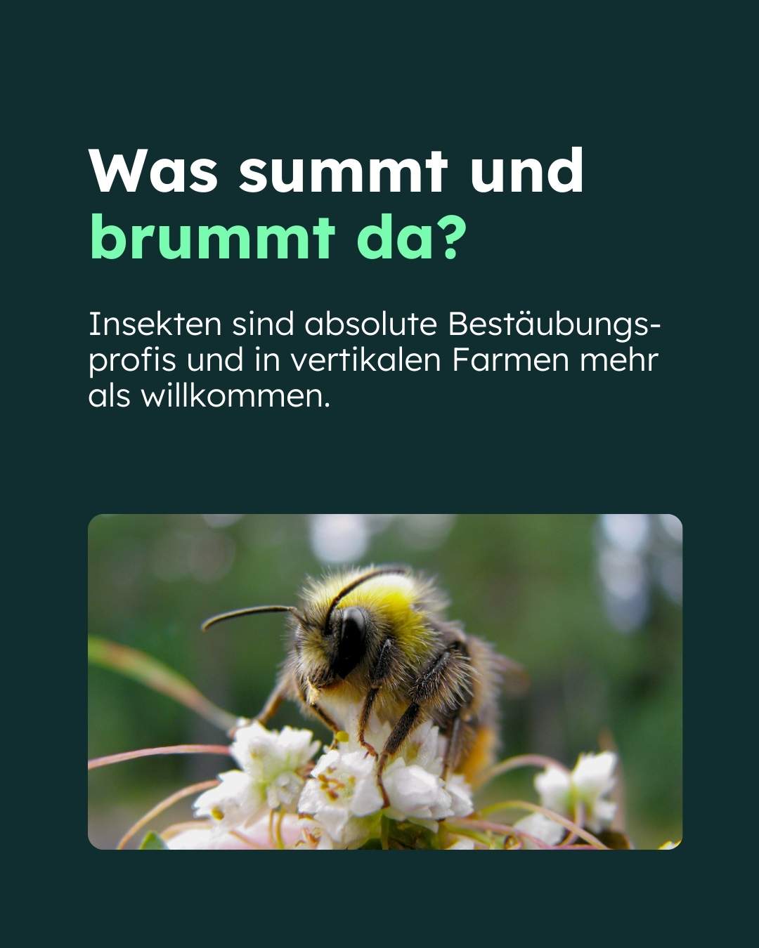 Vertical Farming_Story_Carousel 1_4a